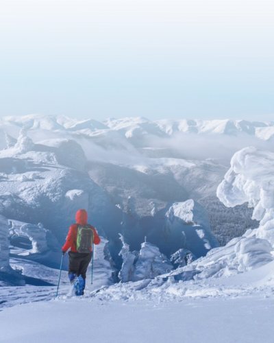 Untitled design (79)